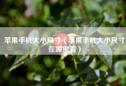 苹果手机大小尺寸（苹果手机大小尺寸在哪里看）