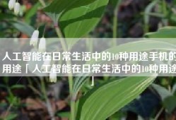 人工智能在日常生活中的10种用途手机的用途「人工智能在日常生活中的10种用途」