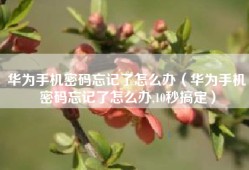 华为手机密码忘记了怎么办（华为手机密码忘记了怎么办,10秒搞定）