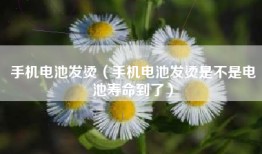 手机电池发烫（手机电池发烫是不是电池寿命到了）