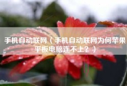 手机自动联网（手机自动联网为何苹果平板电脑连不上？）