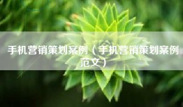 手机营销策划案例（手机营销策划案例范文）