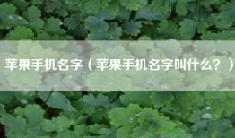 苹果手机名字（苹果手机名字叫什么？）