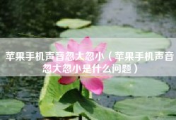 苹果手机声音忽大忽小（苹果手机声音忽大忽小是什么问题）