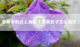 苹果手机这么刷机（苹果机子怎么刷机）