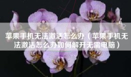 苹果手机无法激活怎么办（苹果手机无法激活怎么办如何解开无需电脑）