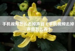 手机视频怎么去掉声音（手机视频去掉声音怎么弄）