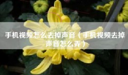 手机视频怎么去掉声音（手机视频去掉声音怎么弄）