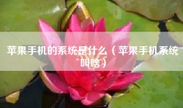 苹果手机的系统是什么（苹果手机系统叫啥）