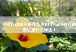 手机自动重启是什么原因（vivo手机自动重启是什么原因）