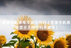 苹果手机来电不显示号码（苹果手机来电显示主叫号码未显示）