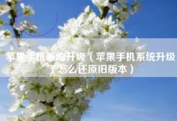 苹果手机系统升级（苹果手机系统升级了怎么还原旧版本）