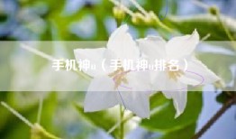 手机神u（手机神u排名）