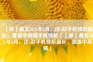 【原】截至2022年8月，这5款手机续航最长，覆盖中高端手机续航「【原】截至2022年8月，这5款手机续航最长，覆盖中高端」