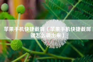 苹果手机快捷截屏（苹果手机快捷截屏键怎么调出来）