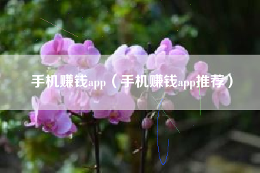 手机赚钱app（手机赚钱app推荐）