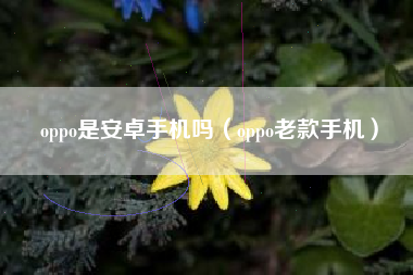 oppo是安卓手机吗（oppo老款手机）