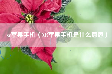 xr苹果手机（XR苹果手机是什么意思）