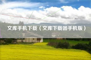 文库手机下载（文库下载器手机版）