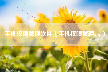 手机权限管理软件（手机权限管理app）